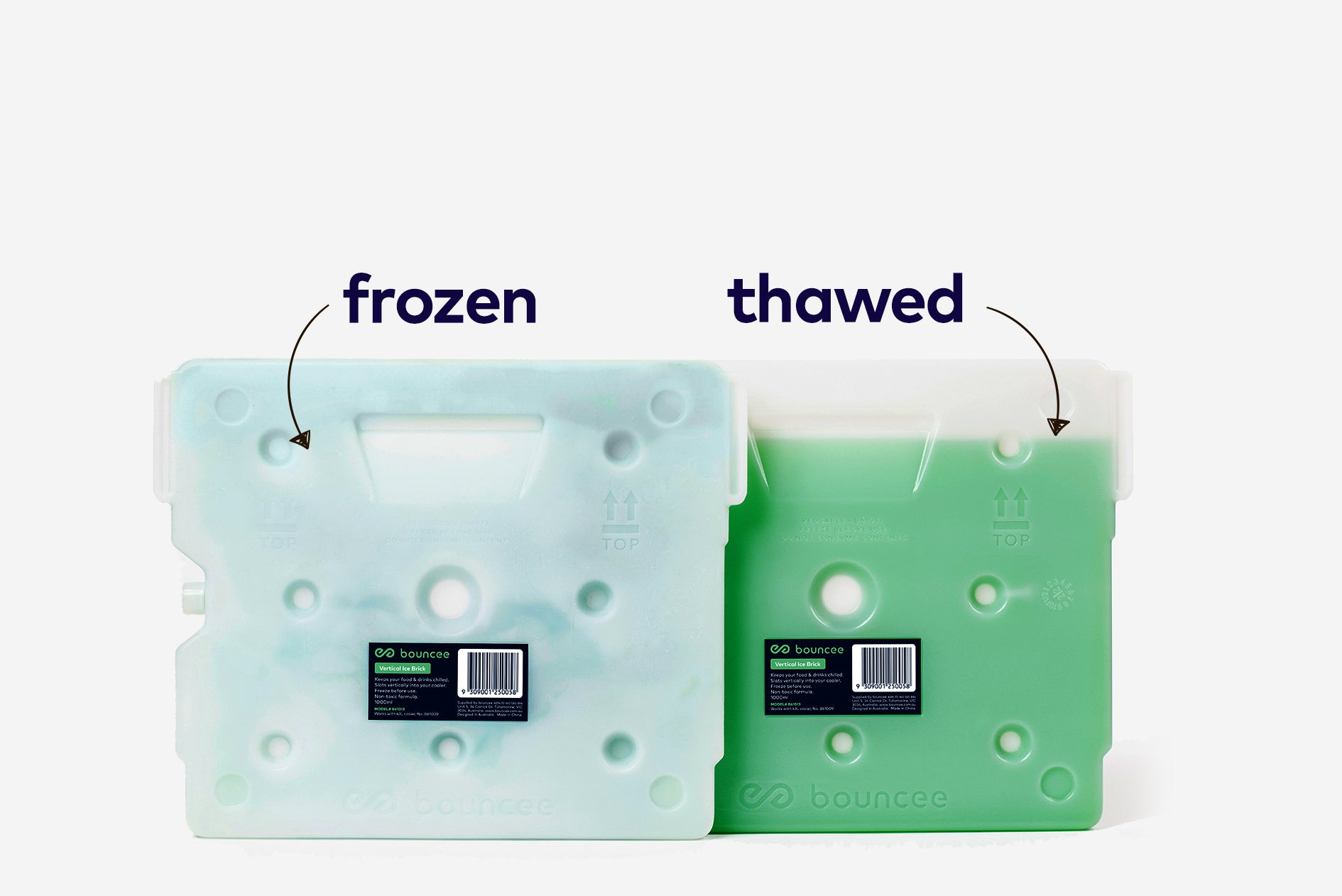 Ice Bricks