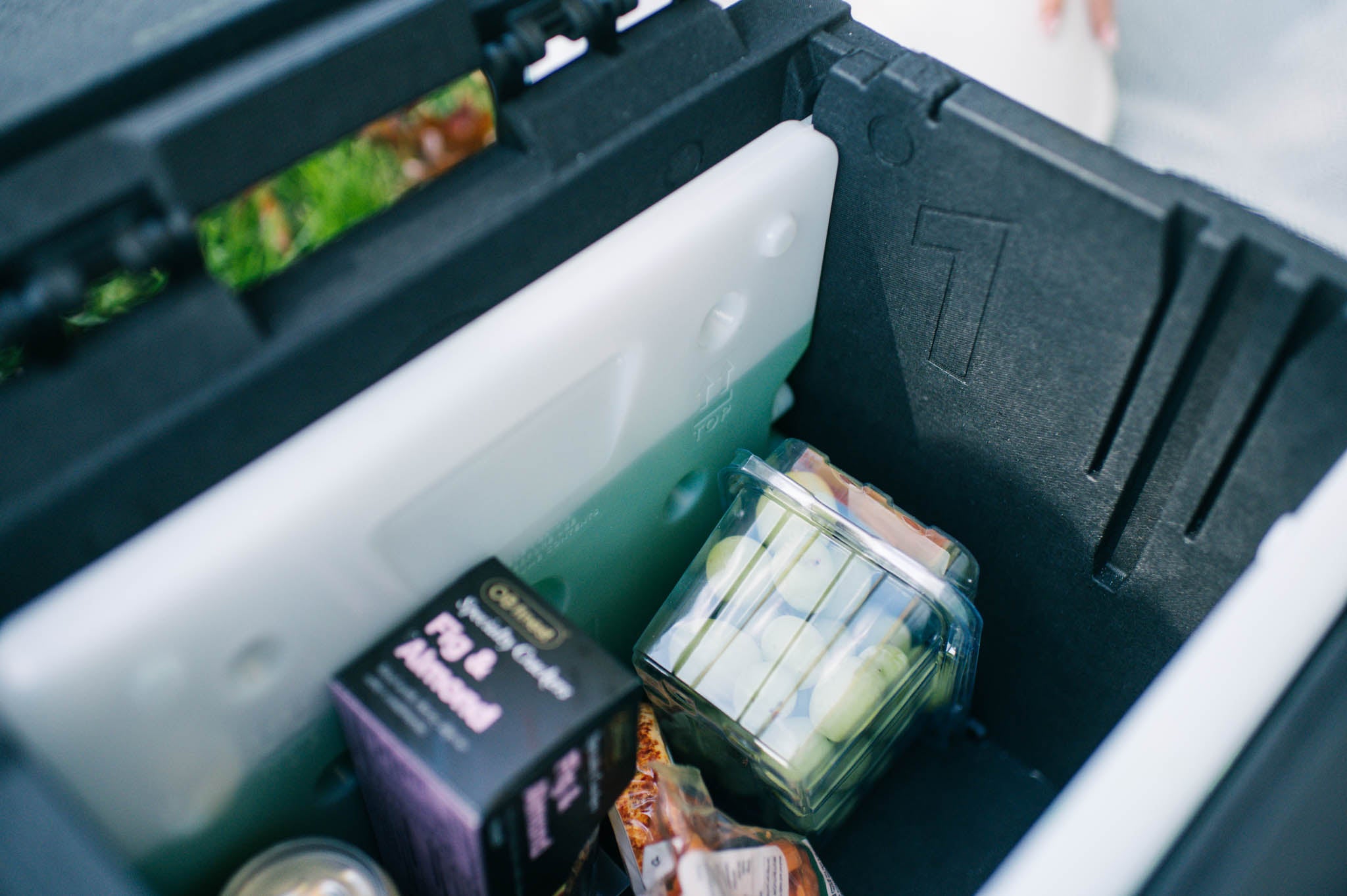 43L Folding Cooler
