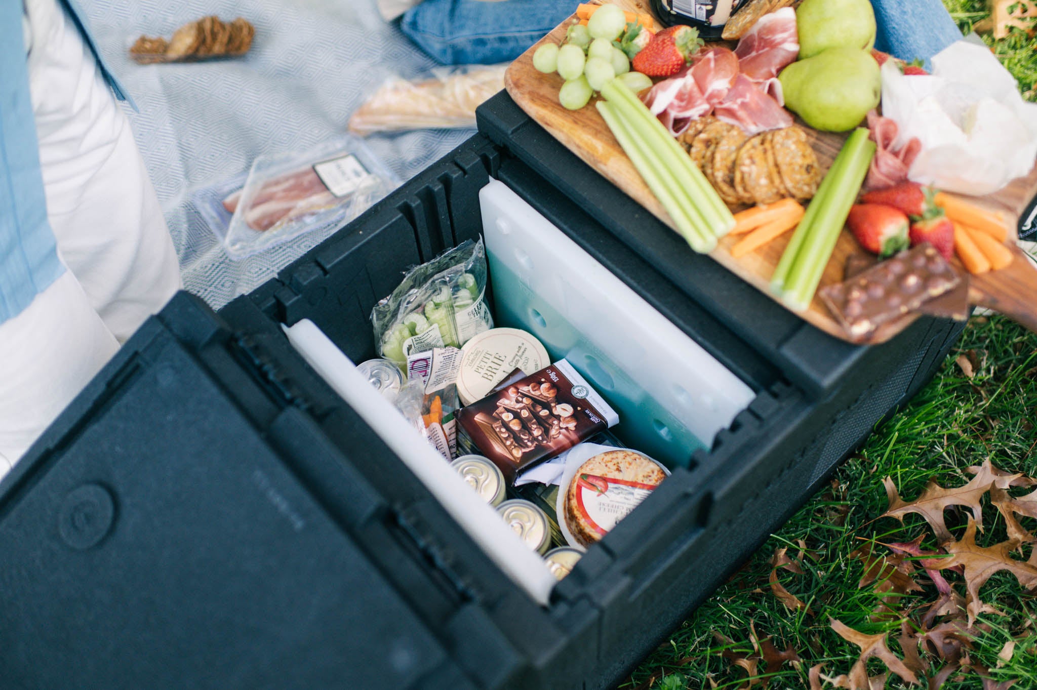 43L Folding Cooler